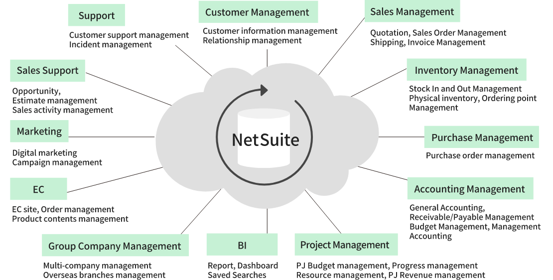 NetSuite cloud