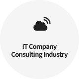 IT Company Consulting Industry