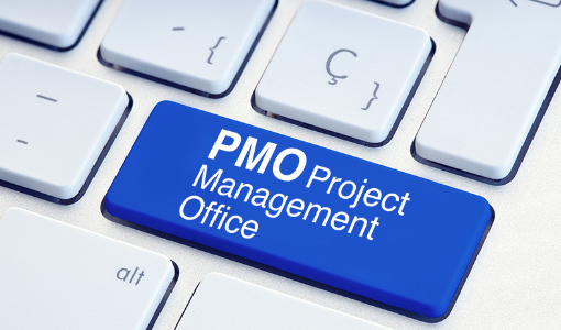 SAP Introduction PMO