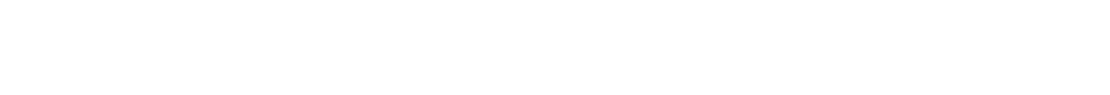 SAP Implementation and Support