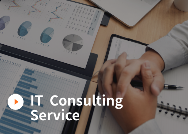 IT Consulting Service