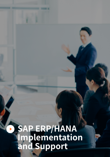 SAP ERP/HANA Implementation and Support