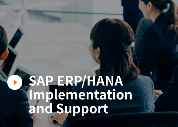 SAP ERP/HANA Implementation and Support