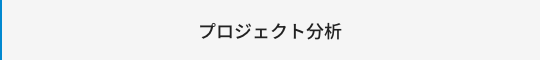 プロジェクト分析