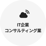 IT企業コンサルティング業