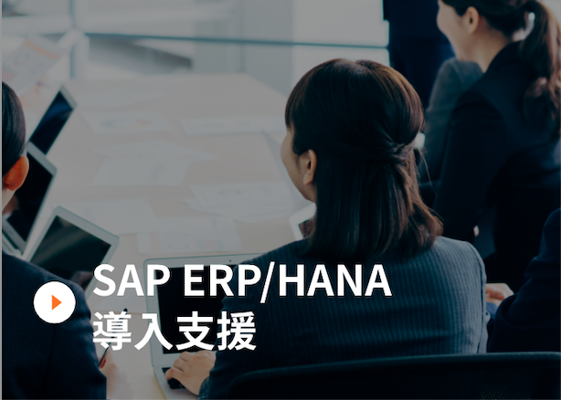 SAP ERP/HANA導入支援